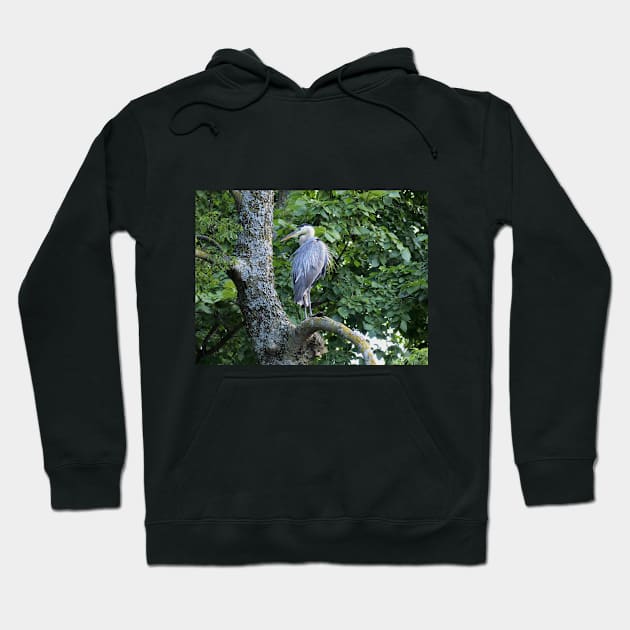 The Blue Heron Hoodie by NatureTrail